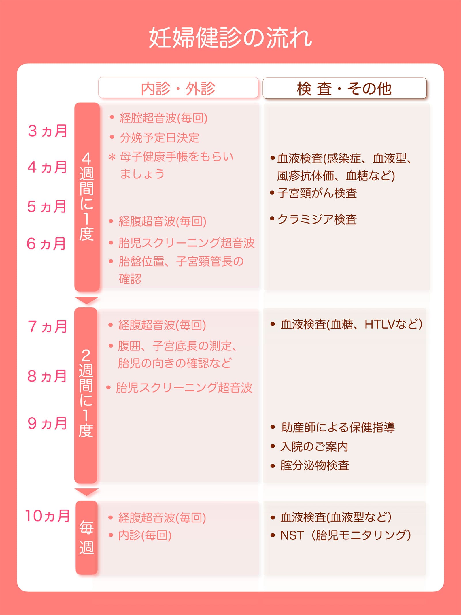 妊婦診察の流れ