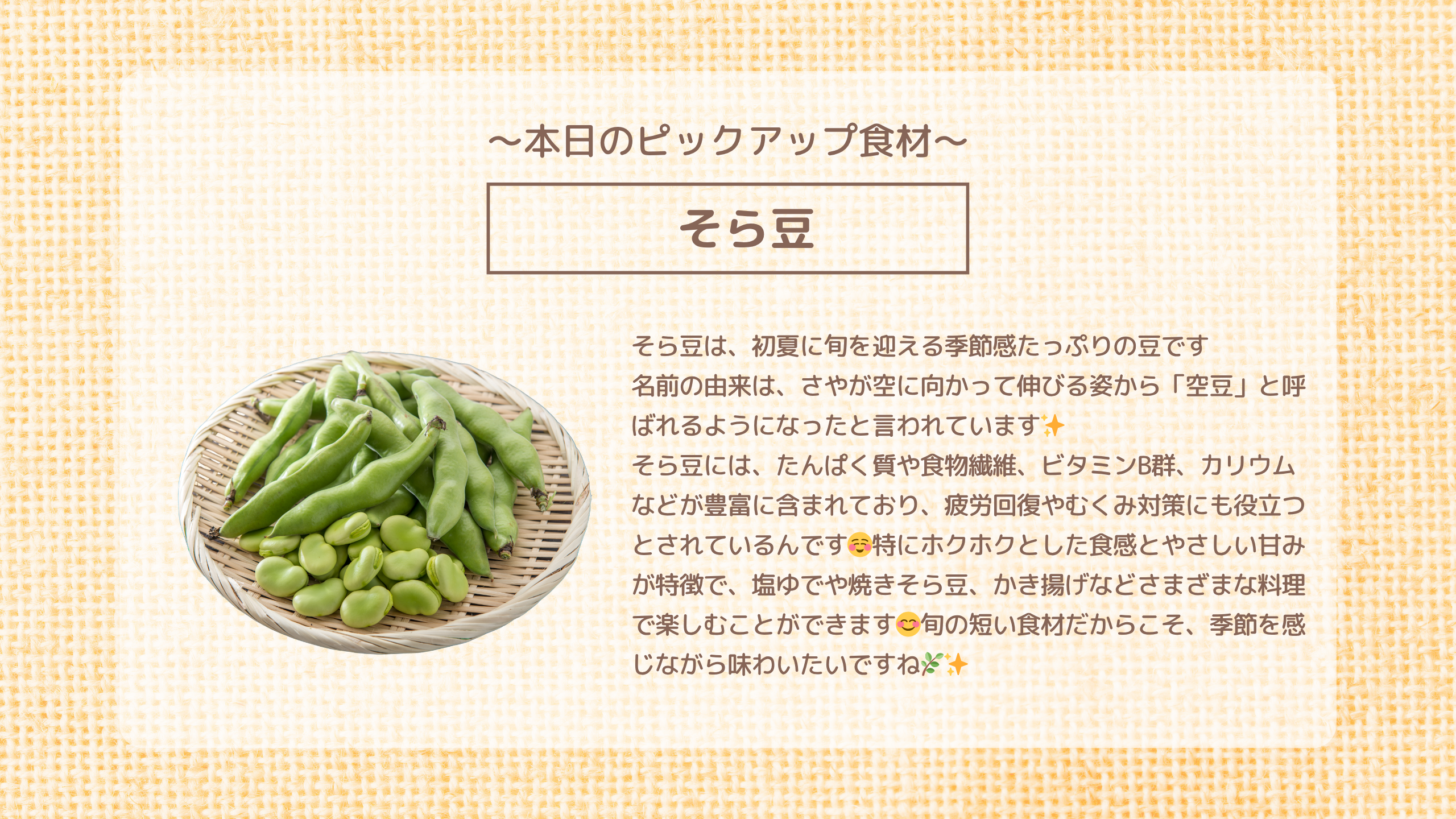 本日のピックアップ食材「そら豆」そら豆は、初夏に旬を迎える季節感たっぷりの豆です🫛 名前の由来は、さやが空に向かって伸びる姿から「空豆」と呼ばれるようになったと言われています✨ そら豆には、たんぱく質や食物繊維、ビタミンB群、カリウムなどが豊富に含まれており、疲労回復やむくみ対策にも役立つとされているんです☺️特にホクホクとした食感とやさしい甘みが特徴で、塩ゆでや焼きそら豆、かき揚げなどさまざまな料理で楽しむことができます😊旬の短い食材だからこそ、季節を感じながら味わいたいですね🌿✨