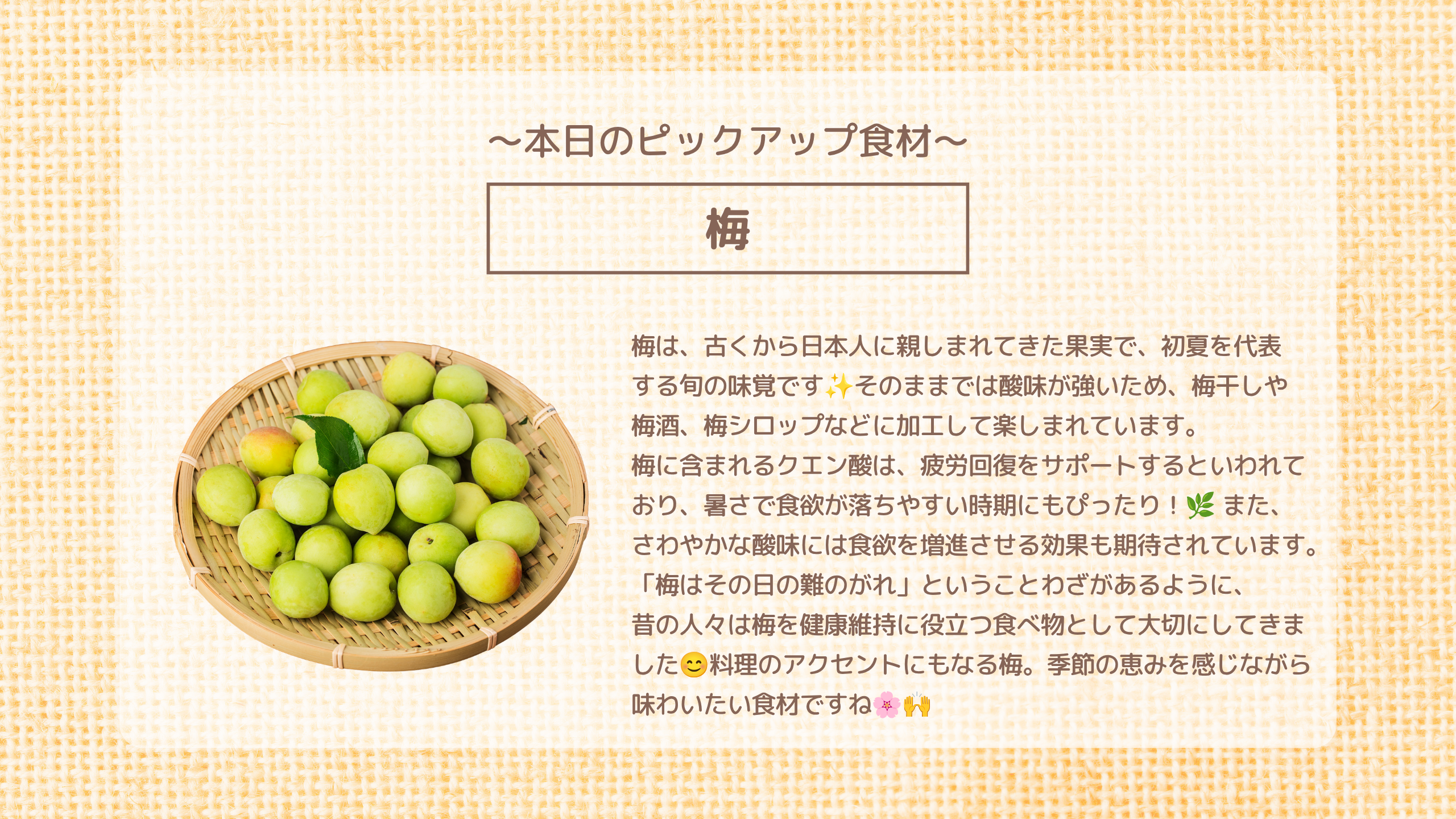 本日のピックアップ食材「梅」梅は、古くから日本人に親しまれてきた果実で、初夏を代表 する旬の味覚です✨そのままでは酸味が強いため、梅干しや 梅酒、梅シロップなどに加工して楽しまれています。 梅に含まれるクエン酸は、疲労回復をサポートするといわれて おり、暑さで食欲が落ちやすい時期にもぴったり!🌿 また、 さわやかな酸味には食欲を増進させる効果も期待されています。「梅はその日の難のがれ」ということわざがあるように、 昔の人々は梅を健康維持に役立つ食べ物として大切にしてきま した😊料理のアクセントにもなる梅。季節の恵みを感じながら 味わいたい食材ですね🌸🙌